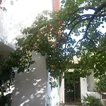 招待所 果阿莫斯塔尔旅馆 3*
