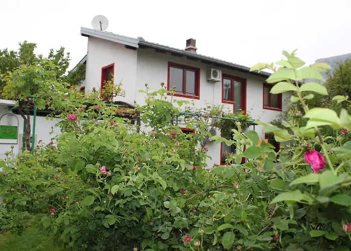 招待所 果阿莫斯塔尔旅馆 莫斯塔尔