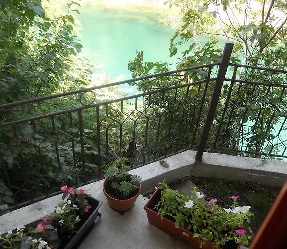 招待所 果阿莫斯塔尔旅馆 莫斯塔尔