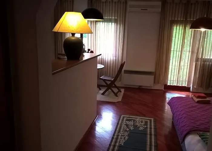 招待所 果阿莫斯塔尔旅馆 3*